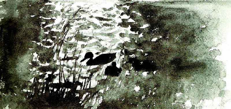bruno liljefors simmande ander oil painting image